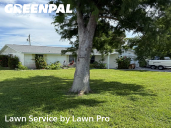 Work completed by professional-lawn-care-service-in-Venice-CA