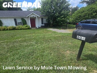 Lawn Cut nearby Murfreesboro, TN, 