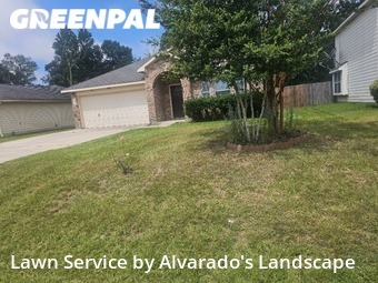 Lawn Cut nearby Willis, TX, 