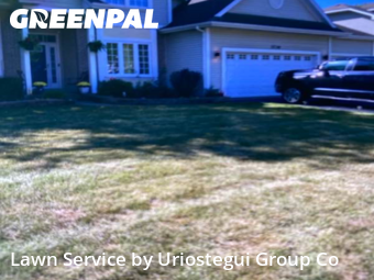 Yard Cutting nearby Winthrop Harbor, IL, 