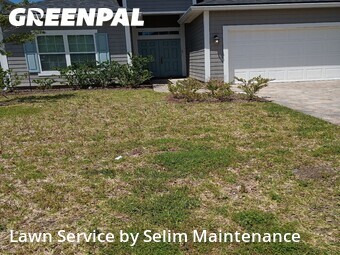 Lawn Care nearby St. Augustine, FL, 