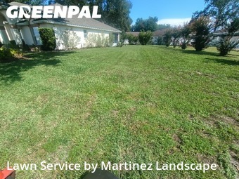 Lawn Care nearby Tavares, FL, 