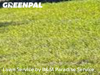 Lawn Mow nearby Ocoee, FL, 