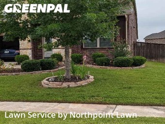 Lawn Care Service nearby Wylie, TX, 