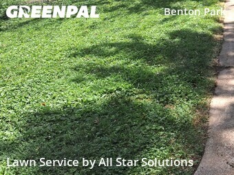 Lawn Care nearby St. Louis, IL, 