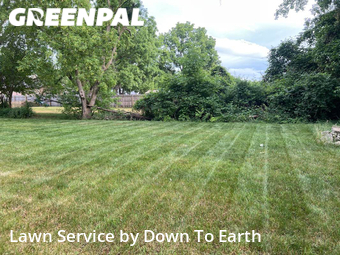 Grass Cutting nearby Bay City, MI, 