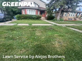 Lawn Care in Maywood, 60153, Yard Grooming by Alejos Brothers, work completed in Oct , 2025