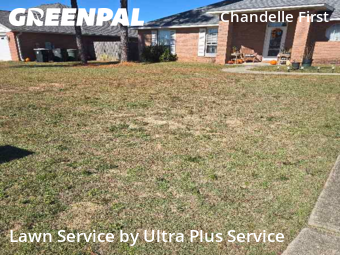 Lawn Cutting nearby Pensacola, FL, 