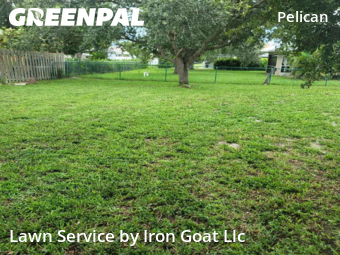 Grass Cut nearby Cape Coral, FL, 