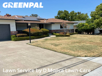 Yard Cutting nearby Roseville, CA, 