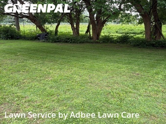 Yard Cutting nearby Mahomet, IL, 