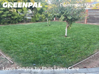 Modern Landscaping In San Diego,92111,Landscaping Installation by Phils Lawn Care, work completed in Nov , 2025