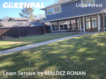 Lawn Mowing Service nearby Dallas, TX, 