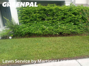 Lawn Mowing in Horizon West, 34786, Grass Care by Martinez Landscape, work completed in Dec , 2025