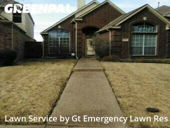 Grass Cut nearby Dallas, TX, 