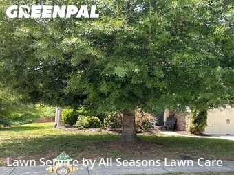 Grass Cutin Concord,28025,Lawn Service by All Seasons Lawn Care, work completed in Jun , 2026