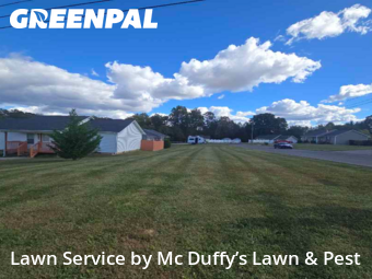 Yard Cutting nearby Baneberry, TN, 