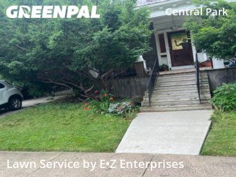 Grass Cut nearby Buffalo, NY, 