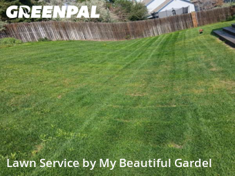 Yard Cutting nearby Centennial, CO, 