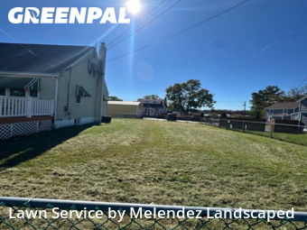 Yard Management in Dundalk, 21222, Weed Trimming by Melendez Landscaped , work completed in Nov , 2025