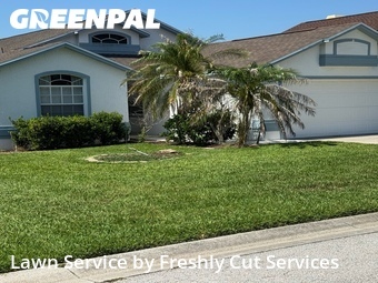 Grass Cut nearby Lakeland, FL, 