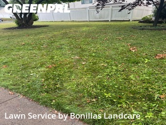 Lawn Cutting nearby Union, NJ, 