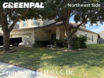 Lawn Cutin Schertz,78154,Yard Mowing by M.Q.L.C. Llc., work completed in Nov , 2025