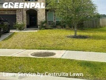 Grass Cutting nearby Pearland, TX, 
