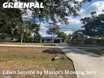 Lawn Cutting nearby Oldsmar, FL, 