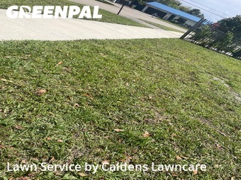 Lawn Care Servicein Davie,33314,Lawn Care by Caidens Lawncare , work completed in Jun , 2026