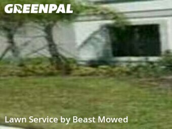 Grass Cut nearby Tampa, FL, 