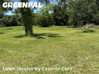 Lawn Maintenance nearby Daytona Beach, FL, 
