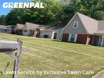 Yard Cutting nearby Olive Branch, TN, 