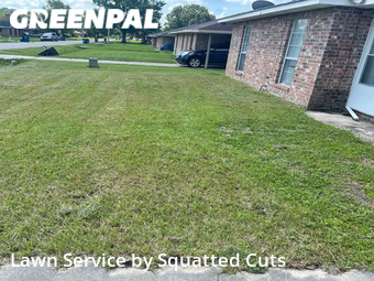 Grass Cutting nearby Lafayette, LA, 