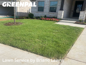 Yard Cutting nearby Carrollton, TX, 