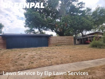 Grass Cut nearby Dallas, TX, 