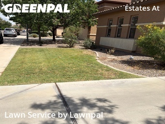Landscape Design In Gilbert,85297,Landscapers by Lawnpal, work completed in Jun , 2026