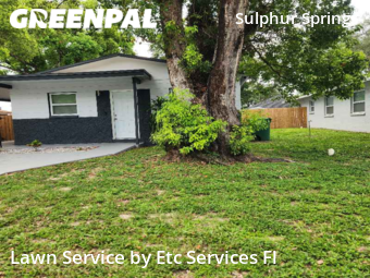 Lawn Mow nearby Tampa, FL, 