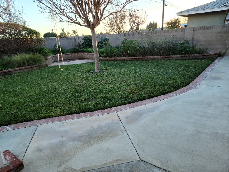 Daniel's Silent Trea Lawn Care Services in Westminster, CA
