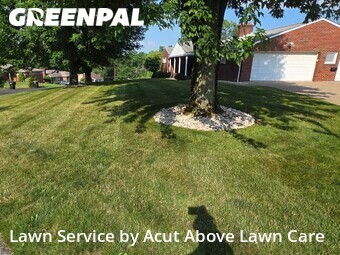 Lawn Cut nearby Bethel Park, PA, 