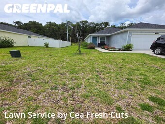 Lawn Mow nearby Ocala, FL, 