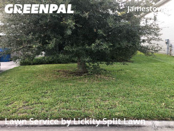 Lawn Care nearby Jacksonville, FL, 