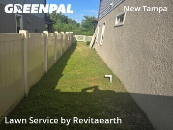 Lawn Servicein Tampa,33647,Yard Mowing by Revitaearth, work completed in Jun , 2026