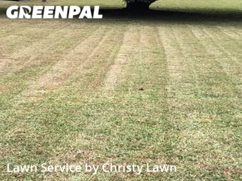 Grass Cutting nearby Ocala, FL, 