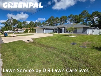Lawn mowed in Palm Coast, 32164