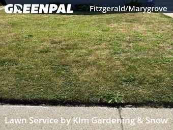 Lawn Mow nearby Detroit, MI, 