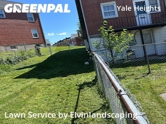 Yard Cutting nearby Baltimore, MD, 