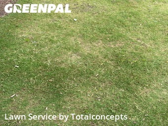 Yard Cutting nearby Apex, NC, 