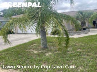 Lawn Upkeep in Lake Wales, 33853, Lawn Services by Cnp Lawn Care, work completed in Nov , 2025