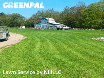 Grass Cut nearby Holton, MI, 